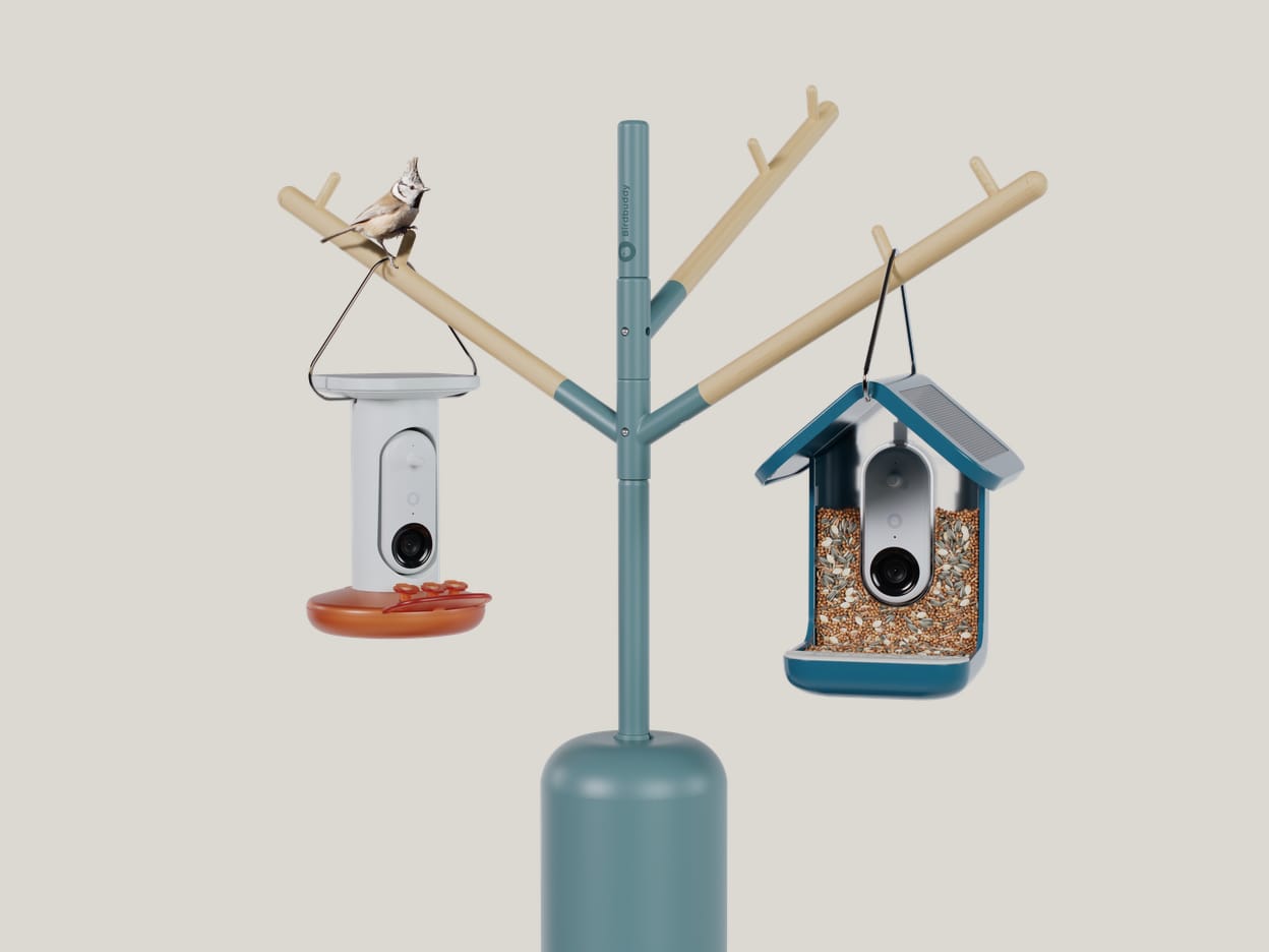 Bird Buddy feeders and accessories on a freestanding tree-shaped stand.