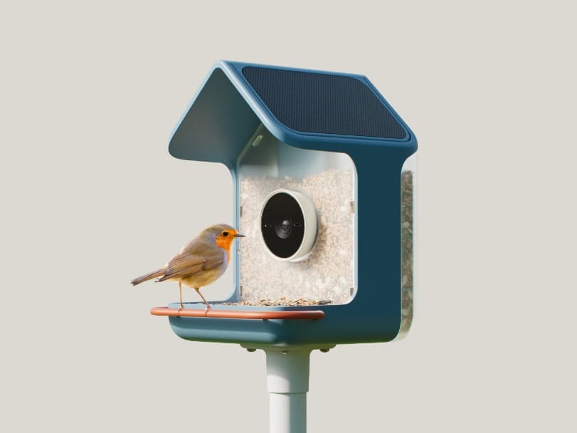 Bird Buddy, AI-powered bird feeders